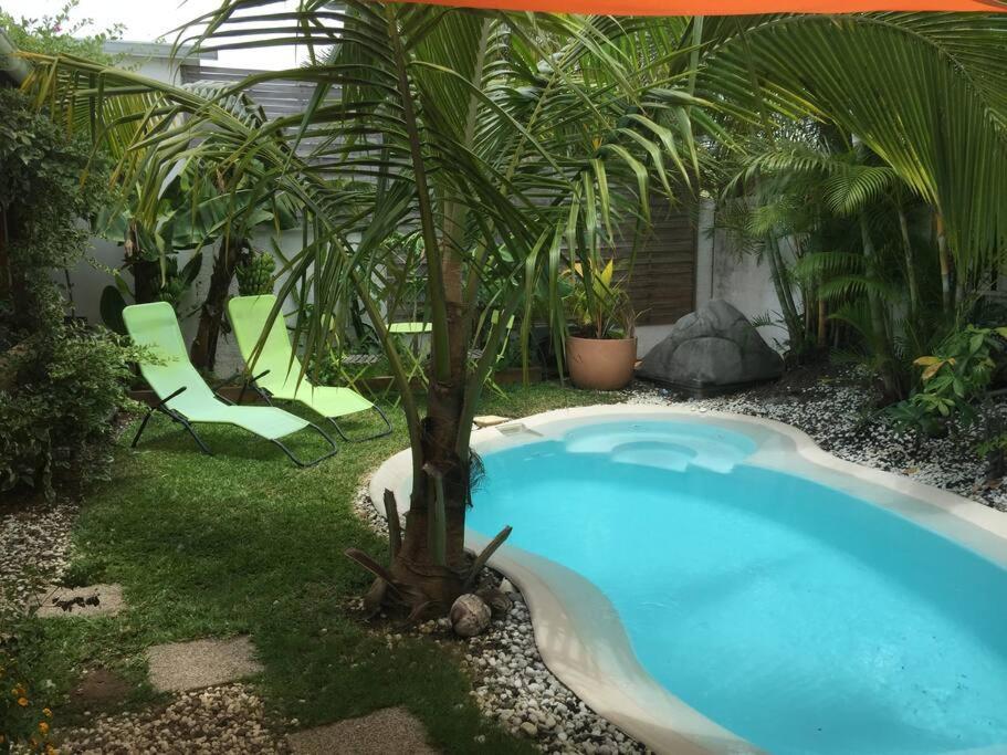 Le Nid D'Amour Avec Sa Piscine Et Jacuzzi Chauffes サン・ジョゼフ エクステリア 写真